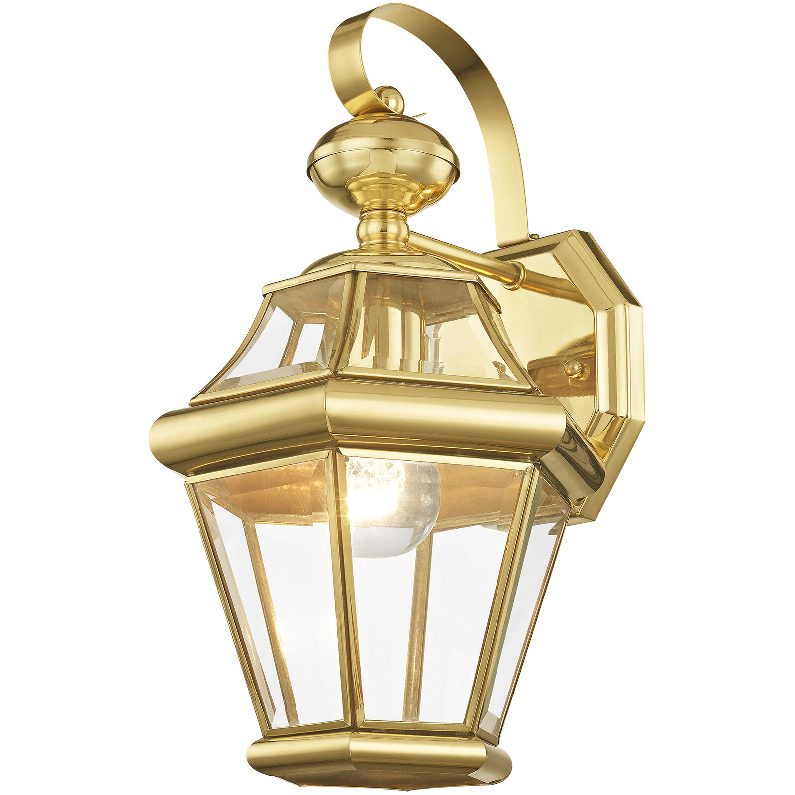 Georgetown 1 Light 15 inch Polished Brass Outdoor Wall Lantern