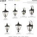 Adams 4 Light 14.25 inch Bronze with Antique Brass Finish Cluster Outdoor Extra Large Wall Lantern Wall Light