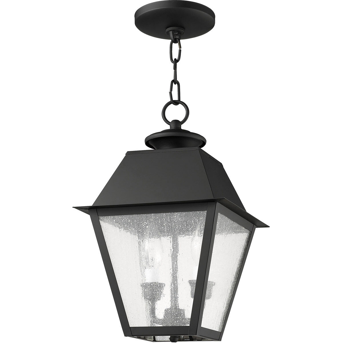 Mansfield 2 Light 9 inch Black Outdoor Pendant Lantern