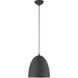 Arlington 1 Light 12 inch Scandinavian Gray with Brushed Nickel Accents Pendant Ceiling Light