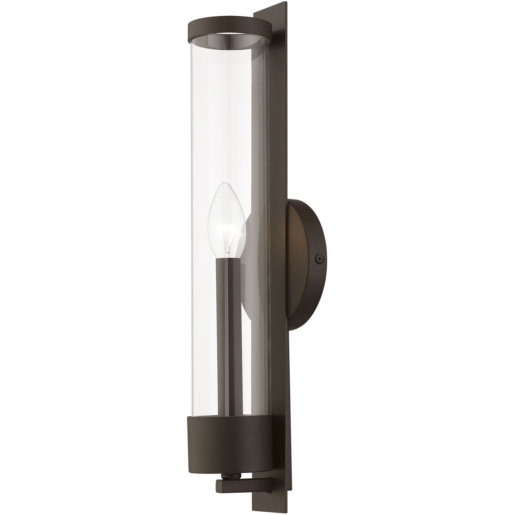 Castleton 1 Light 5 inch Bronze Single Sconce Wall Light, Tall