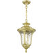 Oxford 1 Light 9.5 inch Soft Gold Outdoor Pendant Lantern, Medium