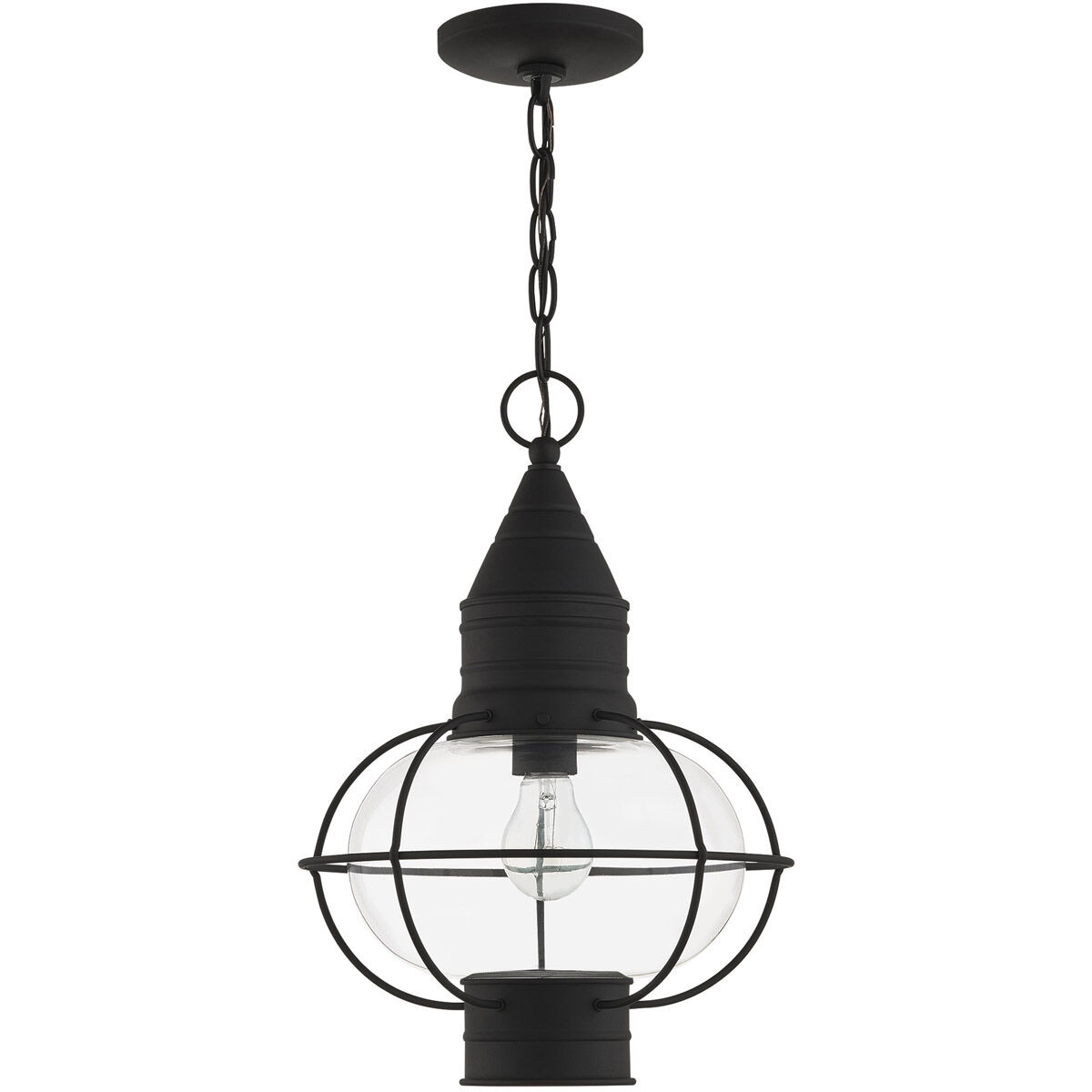 Newburyport 1 Light 12 inch Black Outdoor Pendant Lantern