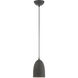Arlington 1 Light 6 inch Scandinavian Gray with Brushed Nickel Accents Pendant Ceiling Light