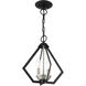 Prism 2 Light 11 inch Black with Brushed Nickel Cluster Convertible Semi Flush/Pendant Ceiling Light