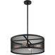 Industro 4 Light 20 inch Black with Brushed Nickel Accents Chandelier Ceiling Light
