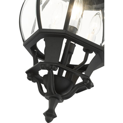 Frontenac 4 Light 12 inch Textured Black Outdoor Pendant Lantern