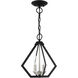 Prism 2 Light 11 inch Black with Brushed Nickel Cluster Convertible Semi Flush/Pendant Ceiling Light