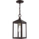 Nyack 1 Light 6 inch Bronze with Antique Brass Cluser Outdoor Pendant Lantern