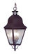 Amwell 3 Light 11 inch Bronze Outdoor Pendant Lantern