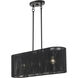 Acordia 3 Light 30 inch Black Linear Chandelier Ceiling Light, Medium