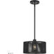 Acordia 1 Light 12 inch Black Pendant Ceiling Light