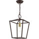 Devone 1 Light 10 inch Bronze Convertible Semi Flush/Lantern Ceiling Light