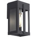Berksford 1 Light 9 inch Black with Brushed Nickel Candles Outdoor Wall Lantern