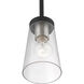 Cityview 1 Light 5 inch Black with Brushed Nickel Accents Mini Pendant Ceiling Light