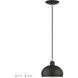 Domma 1 Light 8 inch Black with Brushed Nickel Accents Mini Pendant Ceiling Light