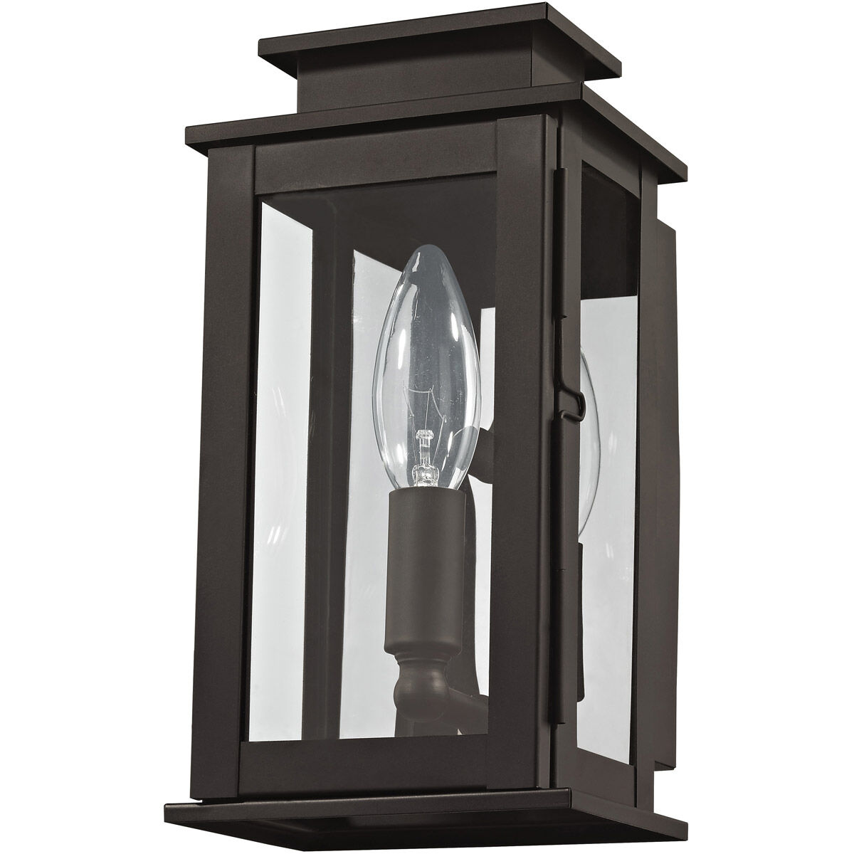 Princeton 1 Light 9 inch Bronze Outdoor Wall Lantern