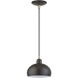 Domma 1 Light 8 inch English Bronze with Antique Brass Accents Mini Pendant Ceiling Light