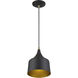 Bolita 8 inch Bronze with Antique Brass Accents LED Pendant Ceiling Light