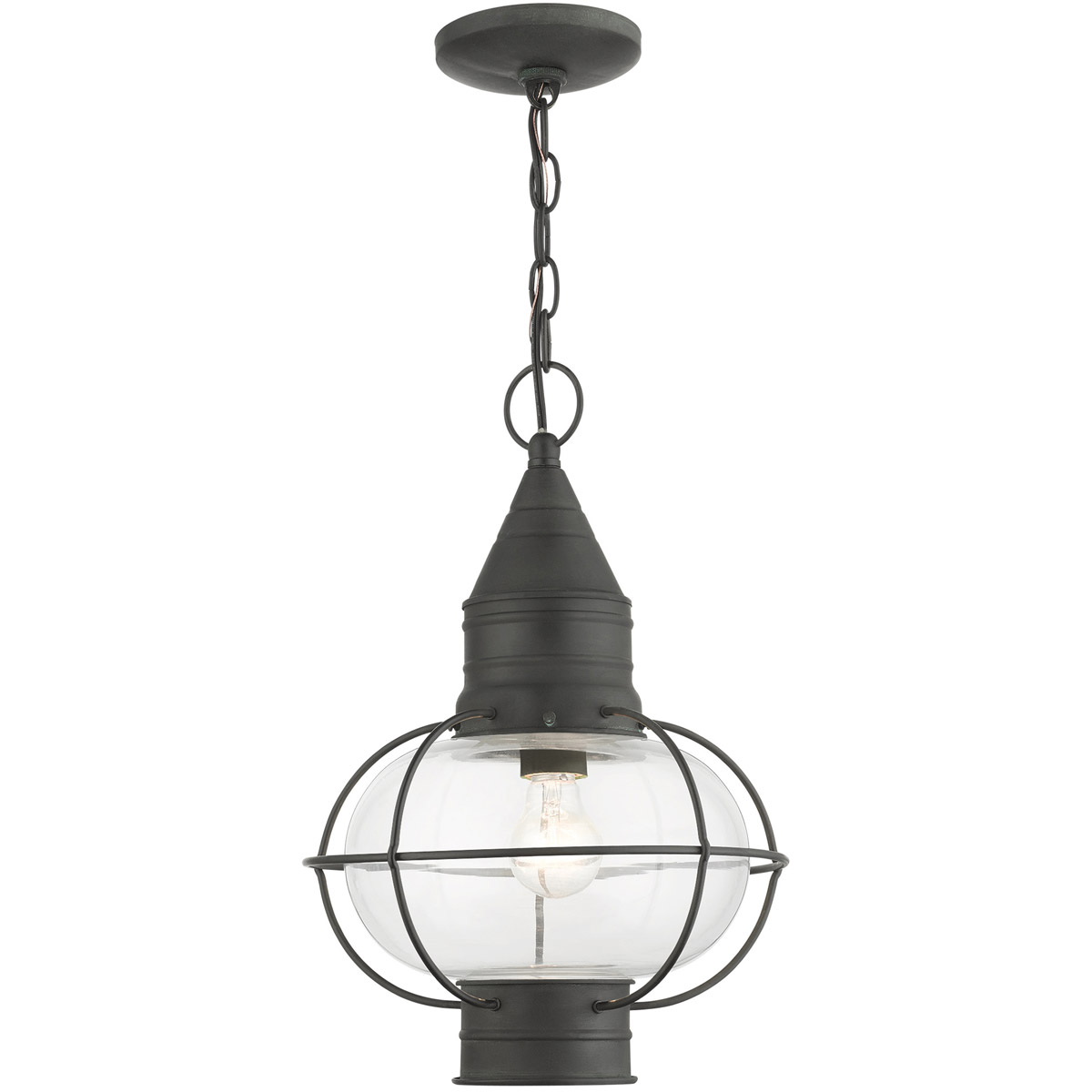 Newburyport 1 Light 11.75 inch Charcoal Large Outdoor Pendant Lantern