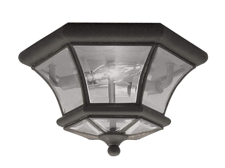 Monterey/Georgetown 2 Light 10.5 inch Bronze Outdoor Ceiling Mount
