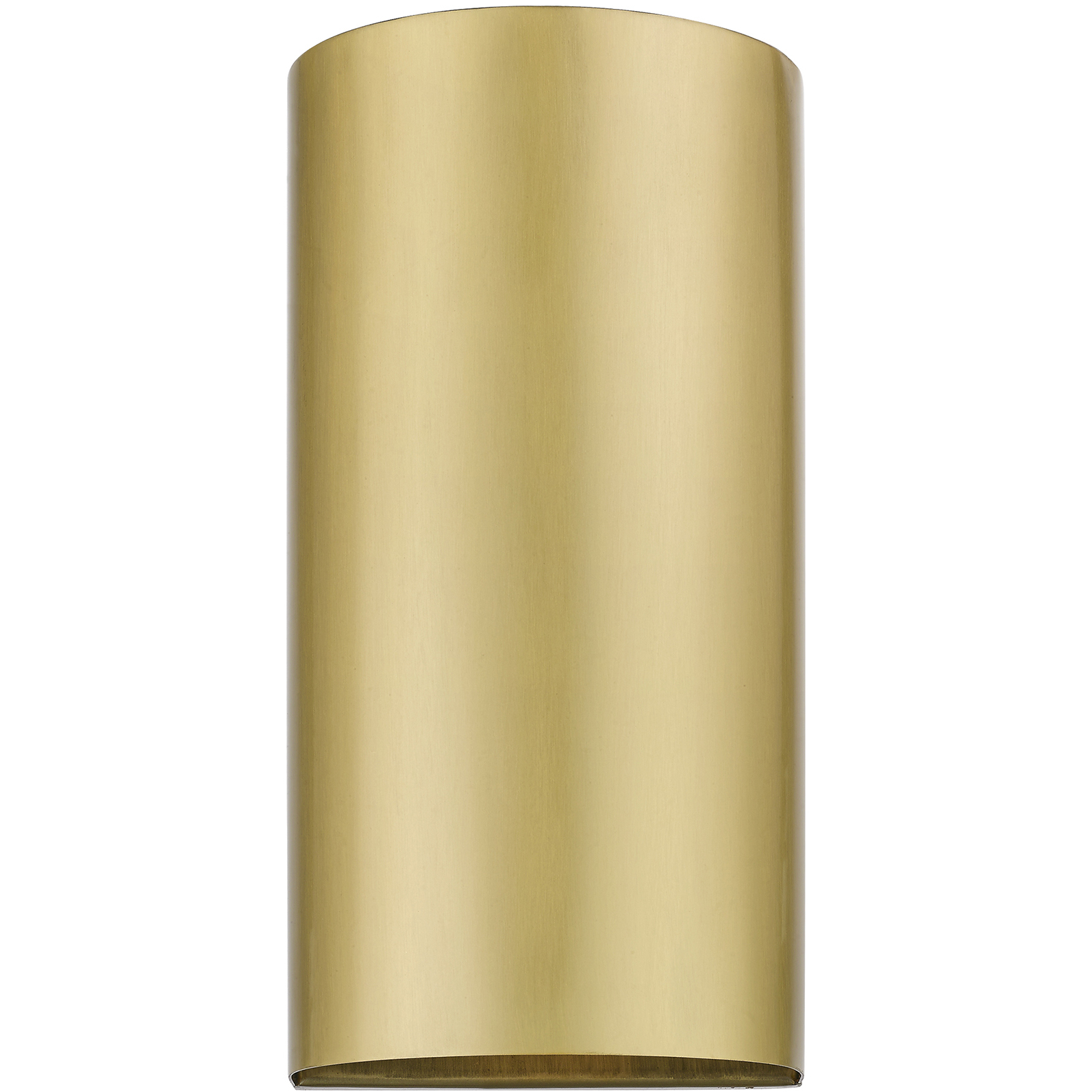 Bond 1 Light 10 inch Satin Gold Outdoor / Indoor Sconce, Medium