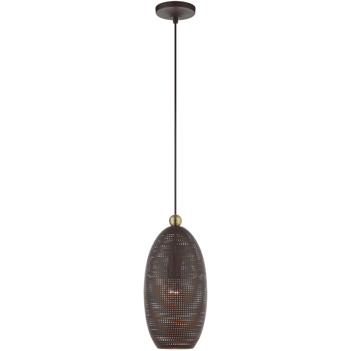 Dublin 1 Light 7.25 inch Bronze with Antique Brass Accents Pendant Ceiling Light