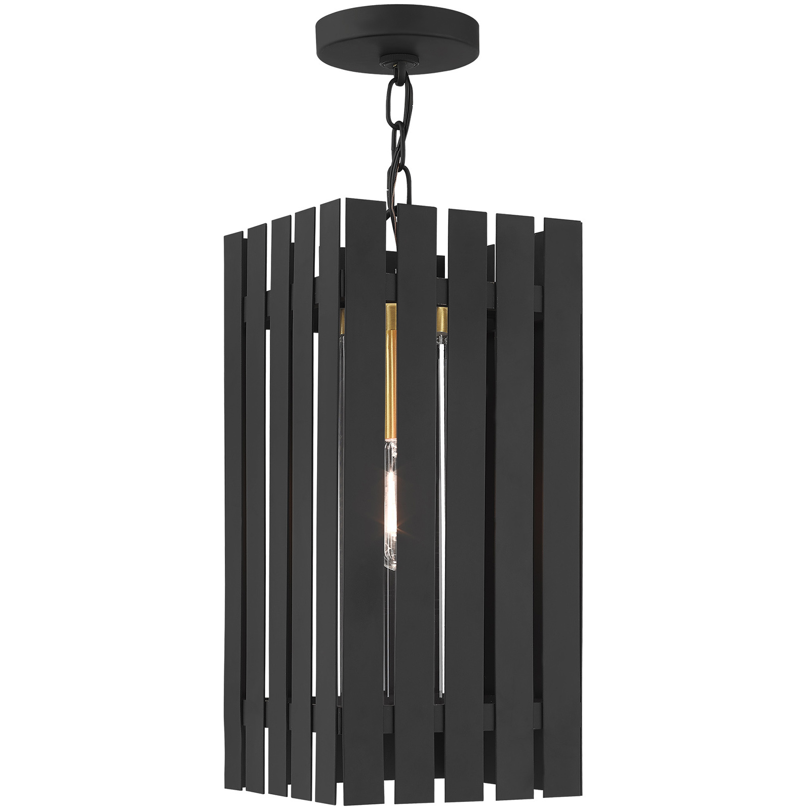 Greenwich 1 Light 8 inch Black with Satin Brass Accents Large Outdoor Pendant Lantern