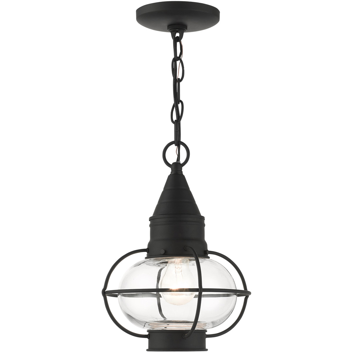 Newburyport 1 Light 8.75 inch Black Outdoor Pendant Lantern
