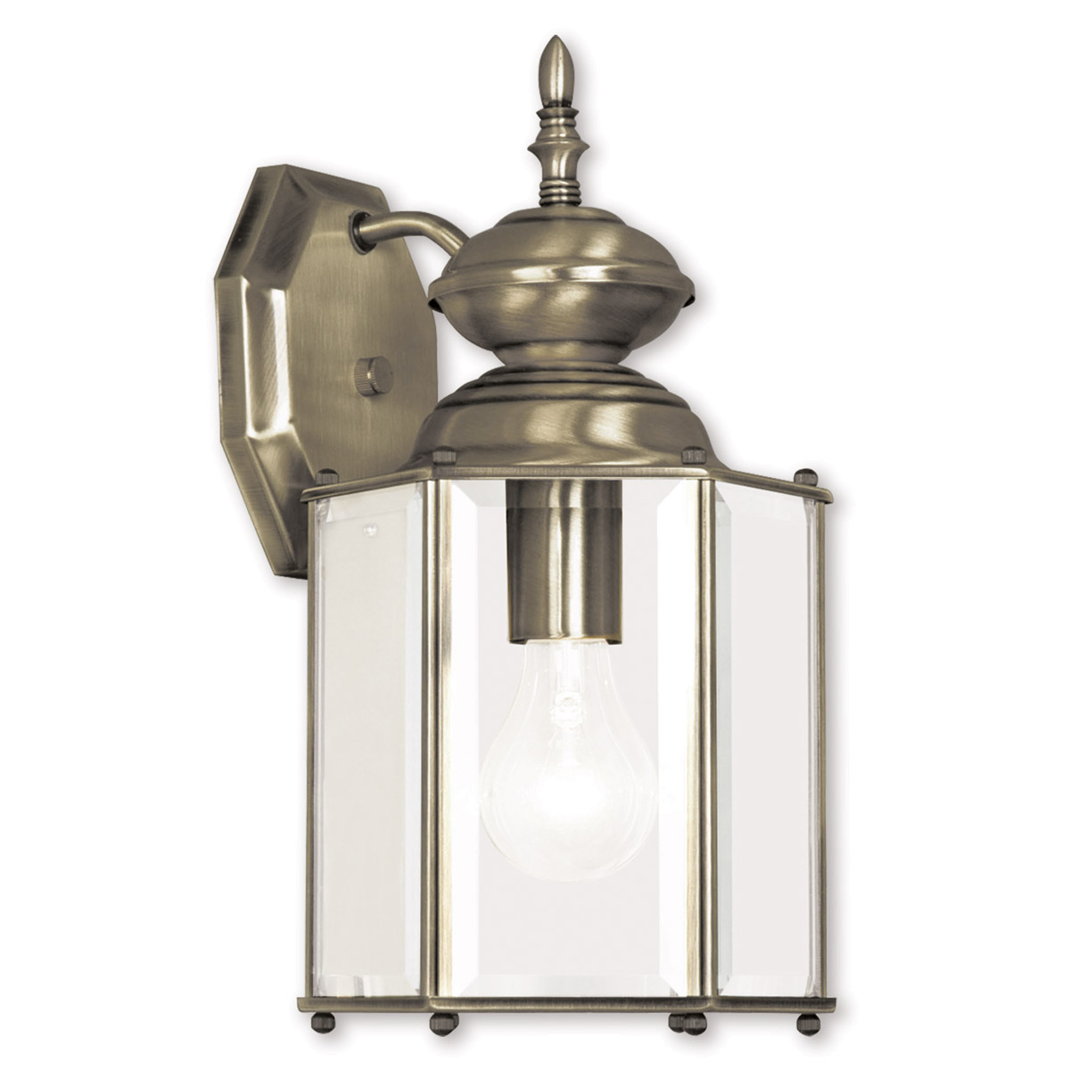 Outdoor Basics 1 Light 13 inch Antique Brass Outdoor Wall Lantern