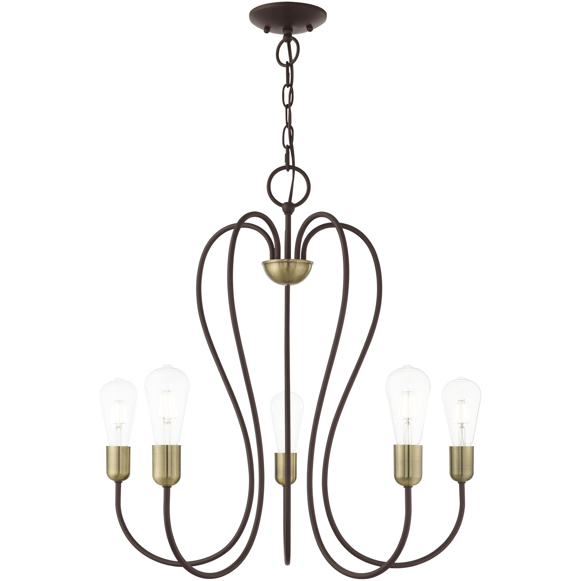 Lucerne 5 Light 24 inch Bronze with Antique Brass Accent Chandelier Ceiling Light in Bronze with Antique Brass Accents