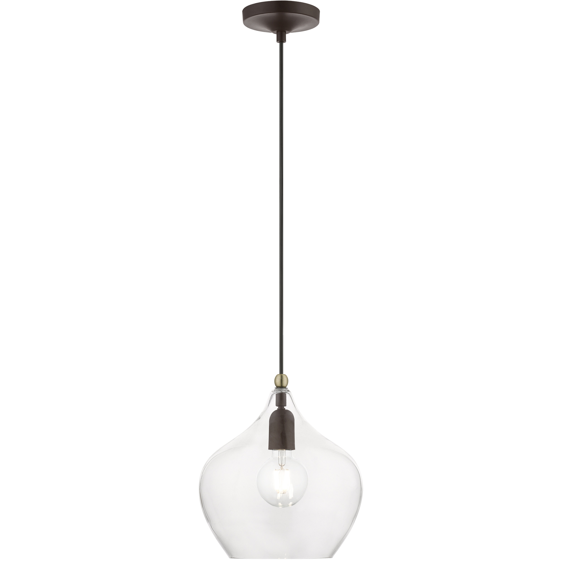 Aldrich 1 Light 9.75 inch Bronze with Antique Brass Accent Pendant Ceiling Light