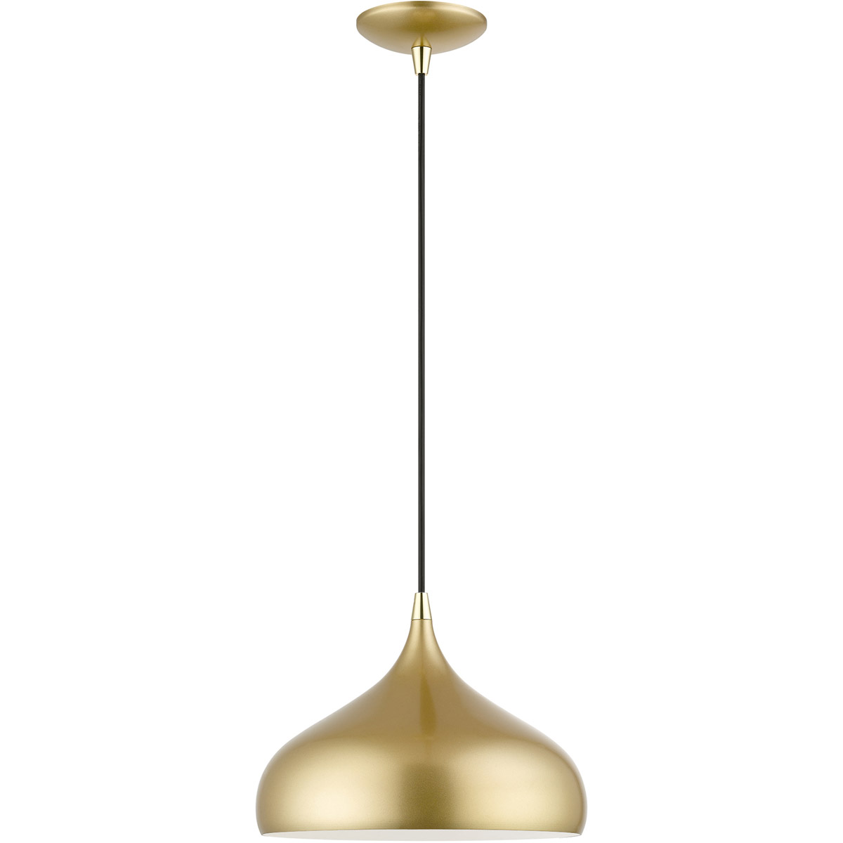 Amador 1 Light 11.75 inch Soft Gold with Polished Brass Accents Pendant Ceiling Light